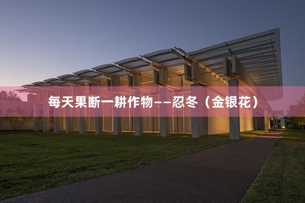 每天果断一耕作物——忍冬（金银花）