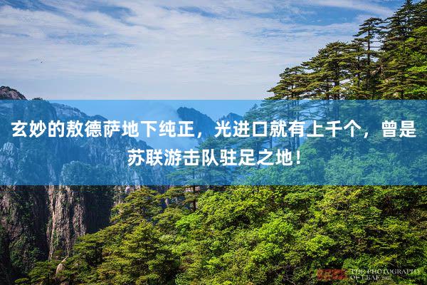 玄妙的敖德萨地下纯正，光进口就有上千个，曾是苏联游击队驻足之地！