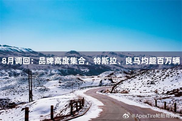 8月调回：品牌高度集合，特斯拉、良马均超百万辆