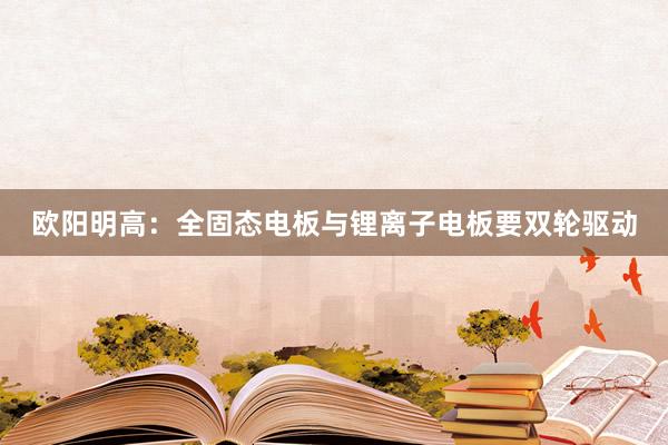 欧阳明高：全固态电板与锂离子电板要双轮驱动