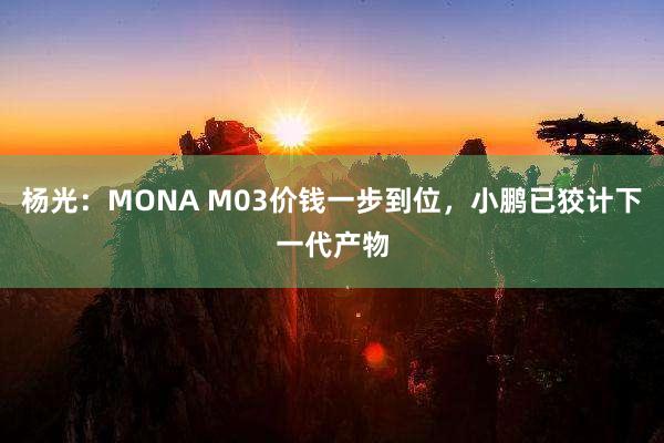 杨光：MONA M03价钱一步到位，小鹏已狡计下一代产物