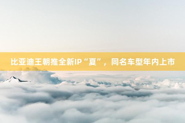 比亚迪王朝推全新IP“夏”，同名车型年内上市