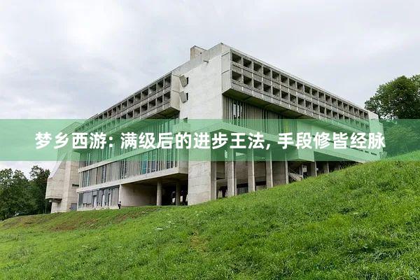 梦乡西游: 满级后的进步王法, 手段修皆经脉