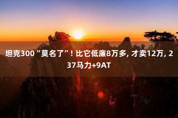坦克300“莫名了”! 比它低廉8万多, 才卖12万, 237马力+9AT