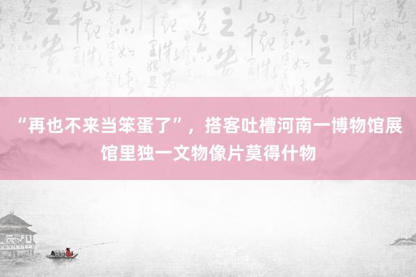 “再也不来当笨蛋了”，搭客吐槽河南一博物馆展馆里独一文物像片莫得什物