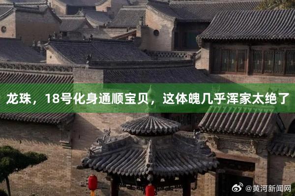 龙珠，18号化身通顺宝贝，这体魄几乎浑家太绝了
