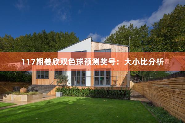 117期姜欣双色球预测奖号：大小比分析