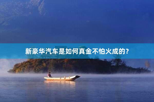 新豪华汽车是如何真金不怕火成的？