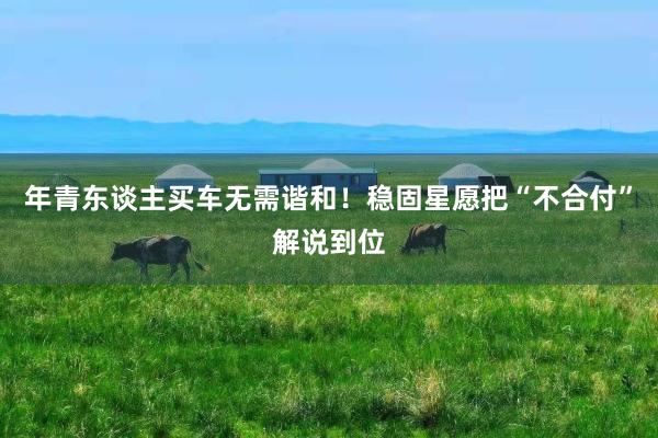 年青东谈主买车无需谐和！稳固星愿把“不合付”解说到位