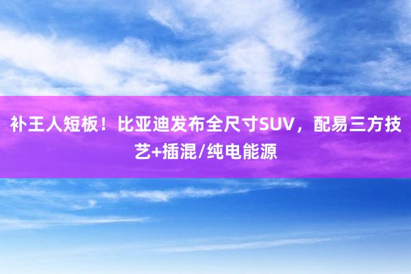 补王人短板！比亚迪发布全尺寸SUV，配易三方技艺+插混/纯电能源