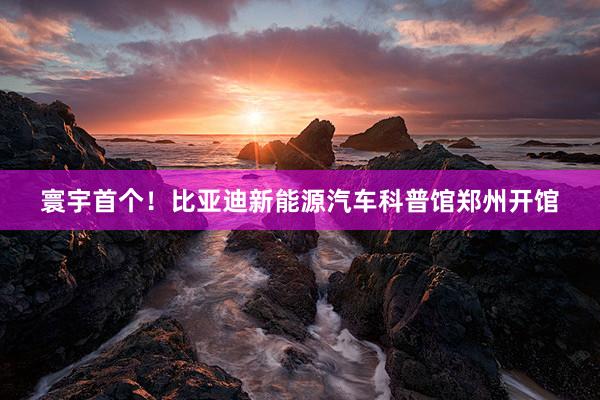 寰宇首个！比亚迪新能源汽车科普馆郑州开馆