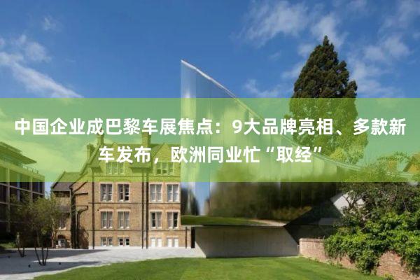 中国企业成巴黎车展焦点：9大品牌亮相、多款新车发布，欧洲同业忙“取经”