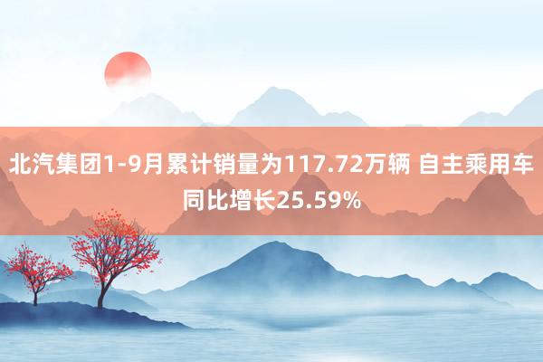 北汽集团1-9月累计销量为117.72万辆 自主乘用车同比增长25.59%