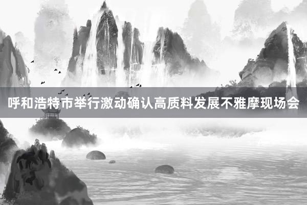 呼和浩特市举行激动确认高质料发展不雅摩现场会