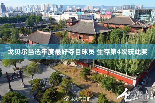 戈贝尔当选年度最好夺目球员 生存第4次获此奖