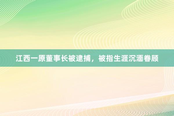 江西一原董事长被逮捕，被指生涯沉湎眷顾