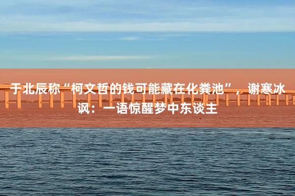 于北辰称“柯文哲的钱可能藏在化粪池”，谢寒冰讽：一语惊醒梦中东谈主