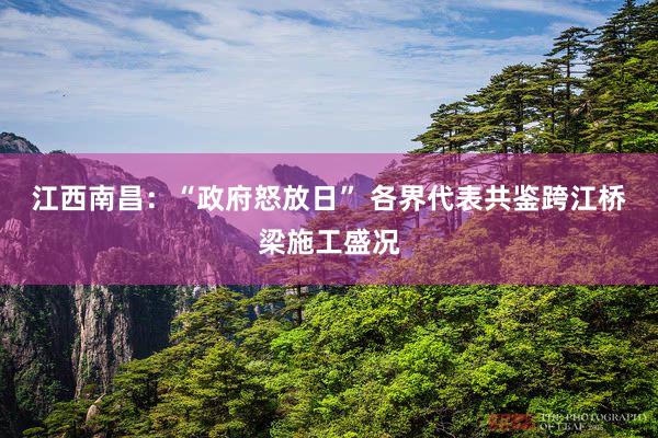 江西南昌：“政府怒放日” 各界代表共鉴跨江桥梁施工盛况