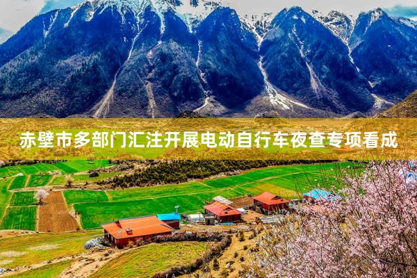 赤壁市多部门汇注开展电动自行车夜查专项看成