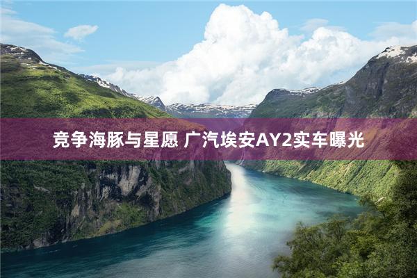 竞争海豚与星愿 广汽埃安AY2实车曝光