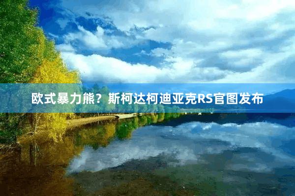 欧式暴力熊？斯柯达柯迪亚克RS官图发布