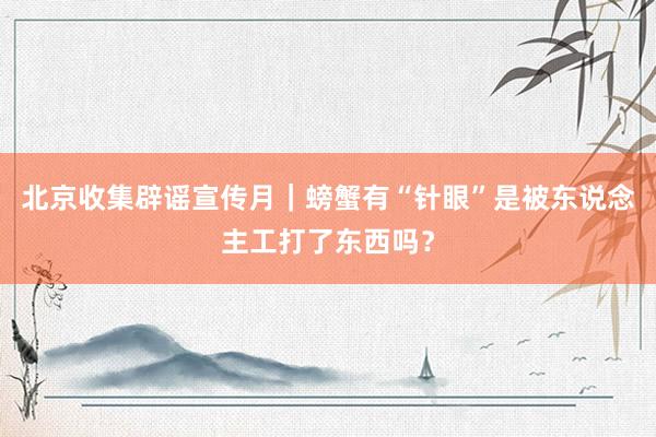 北京收集辟谣宣传月|螃蟹有“针眼”是被东说念主工打了东西吗?