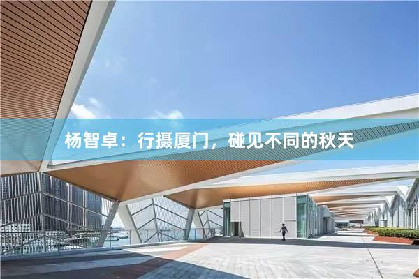 杨智卓：行摄厦门，碰见不同的秋天