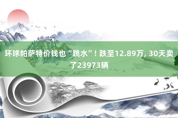 环球帕萨特价钱也“跳水”! 跌至12.89万, 30天卖了23973辆