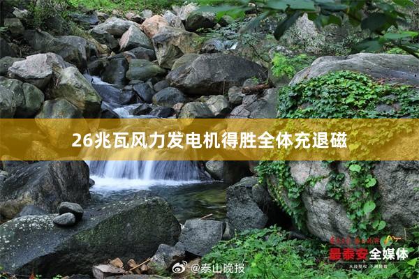 26兆瓦风力发电机得胜全体充退磁