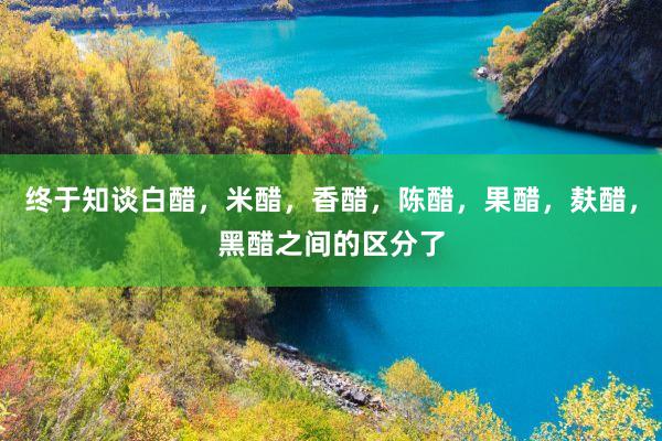 终于知谈白醋，米醋，香醋，陈醋，果醋，麸醋，黑醋之间的区分了