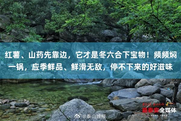 红薯、山药先靠边，它才是冬六合下宝物！频频焖一锅，应季鲜品、鲜滑无敌，停不下来的好滋味