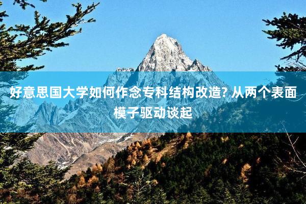 好意思国大学如何作念专科结构改造? 从两个表面模子驱动谈起