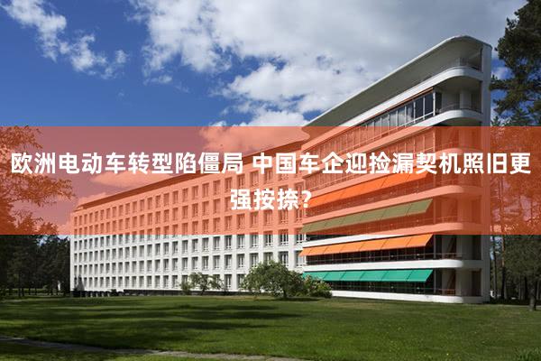 欧洲电动车转型陷僵局 中国车企迎捡漏契机照旧更强按捺？