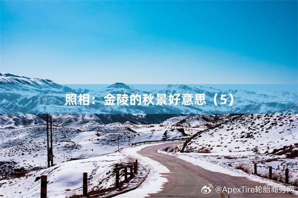 照相：金陵的秋景好意思（5）