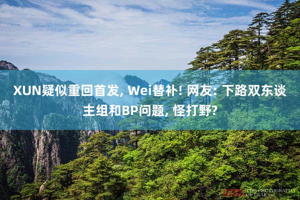 XUN疑似重回首发, Wei替补! 网友: 下路双东谈主组和BP问题, 怪打野?