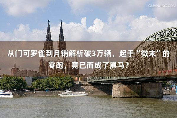从门可罗雀到月销解析破3万辆，起于“微末”的零跑，竟已而成了黑马？
