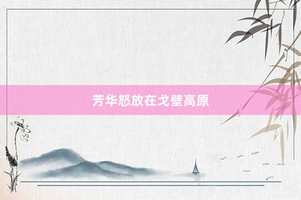 芳华怒放在戈壁高原